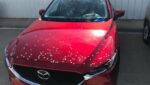 Red Mazda with white spots