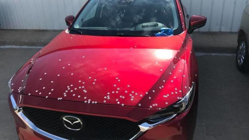 Red Mazda with white spots